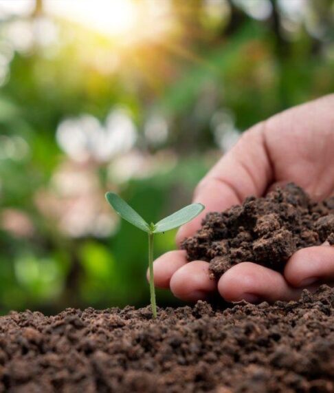 soil-health-management-practices-in-india