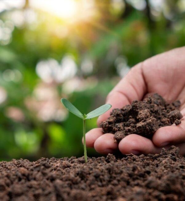 soil-health-management-practices-in-india