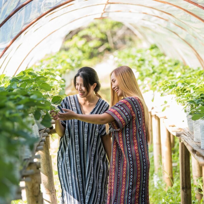 beautiful-farmer-woman-checking-strawberry-farm_1150-6765