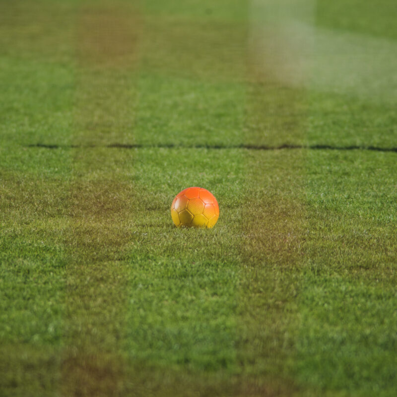 football-scene-with-ball-net
