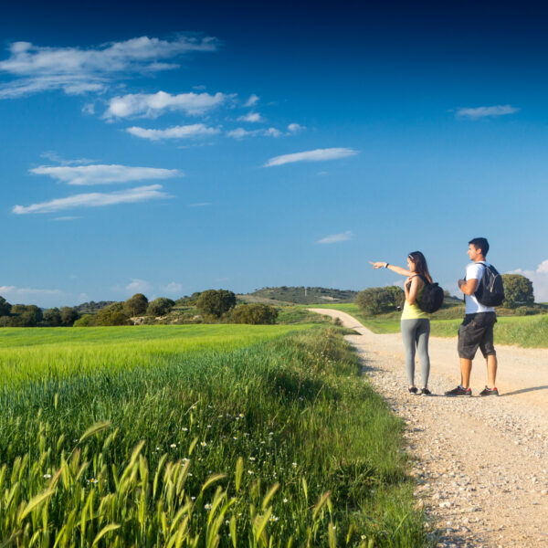 Portrait of Happy Young couple on the field in spring