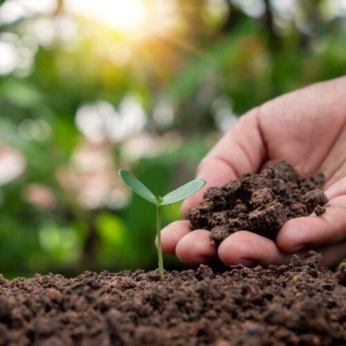 soil-health-management-practices-in-india (1)